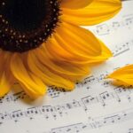 Former Napa Music Teacher Charged in Shocking 2018 Child Sex Assault Case