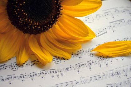 Former Napa Music Teacher Charged in Shocking 2018 Child Sex Assault Case