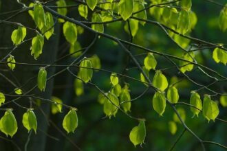 Enjoy a Beautifully Sunny and Warm Friday in the Bay Area!