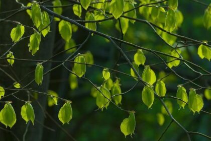 Enjoy a Beautifully Sunny and Warm Friday in the Bay Area!