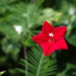 Anthropic Stands Firm Against Pentagon Pressure on AI Safety Measures