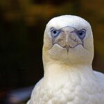 Don’t Miss These Thrilling Author Events in March 2026: Meet Rae Alexandra, Valerie Bertinelli, Tayari Jones, and More!