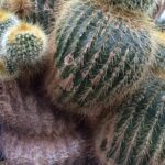 Warning: Seniors Targeted by Deceptive Home Repair Scammers!