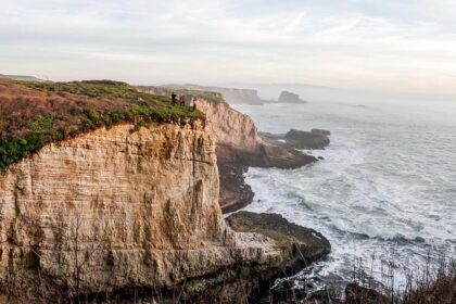 Unleash the Adventure in Midtown Santa Cruz!