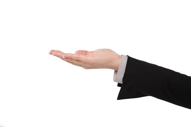 Bridget’s Gambit: The Inspiring Journey of a Trailblazing Businesswoman in California