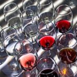 Indulge in Chowder, Sip Fine Wine, and Catch a Glimpse of Whales at the Thrilling Mendocino Whale Festival!