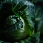 Grocery Outlet Closes Struggling Stores: What This Means for Your Shopping Experience