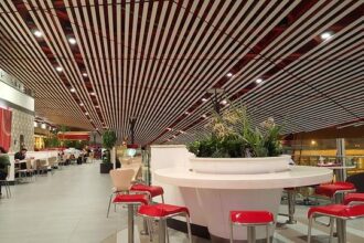 Honoring Country Joe McDonald: The Bay Area Rock Icon and Woodstock’s Defiant Voice of a Generation