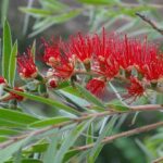 How Live Nation’s Antitrust Settlement Could Transform San Francisco’s Music Scene