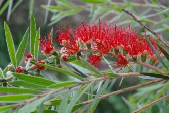 How Live Nation’s Antitrust Settlement Could Transform San Francisco’s Music Scene