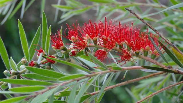 How Live Nation’s Antitrust Settlement Could Transform San Francisco’s Music Scene