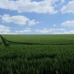 Mark Farrell’s 2024 Campaign: Legal Compliance Assured Despite Ongoing Investigations