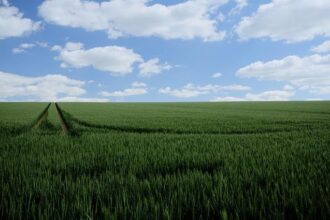 Mark Farrell’s 2024 Campaign: Legal Compliance Assured Despite Ongoing Investigations