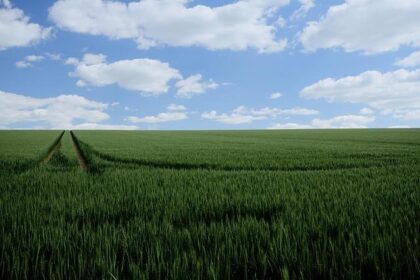 Mark Farrell’s 2024 Campaign: Legal Compliance Assured Despite Ongoing Investigations