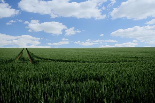 Mark Farrell’s 2024 Campaign: Legal Compliance Assured Despite Ongoing Investigations