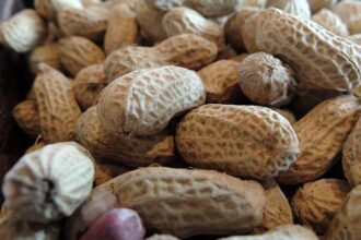 Oakland Unites to Honor Hometown Hero Alysa Liu!