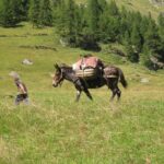 Heartbreaking Daytime Stabbing in SoMa Leaves Community in Shock