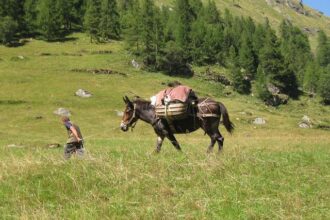 Heartbreaking Daytime Stabbing in SoMa Leaves Community in Shock