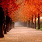 Meta Prepares for Significant Layoffs Amid Soaring AI Costs