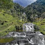 Shocking Discovery: Homicide Suspect Found Hidden in Water Tanker Truck