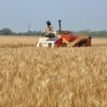 United Farm Workers President Challenges César Chávez’s Legacy: A Call for Change