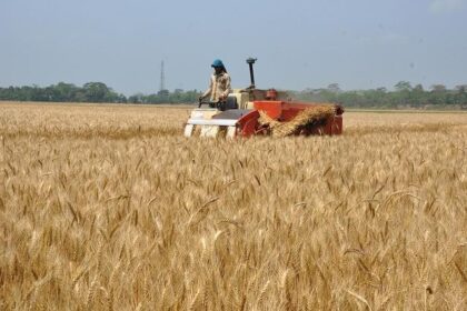 United Farm Workers President Challenges César Chávez’s Legacy: A Call for Change