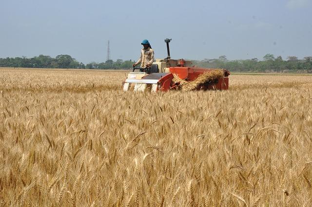 United Farm Workers President Challenges César Chávez’s Legacy: A Call for Change