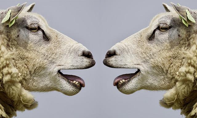 Unlocking the Buzz: The Hilarious ‘LinkedIn Speak’ Translator Captivates the Internet During Layoff Season!