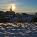 Revealed: Design Flaw in 2024 Piedmont Cybertruck Tied to Tragic Fatal Crash