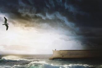 Unveiling the Truth: Alarming Access to Tiburon License Plate Data Exposed in Follow-Up Audit