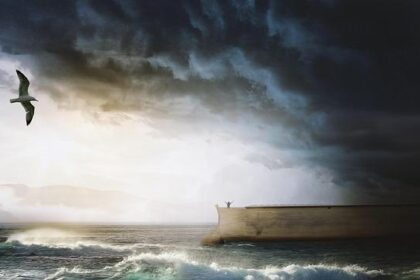 Unveiling the Truth: Alarming Access to Tiburon License Plate Data Exposed in Follow-Up Audit