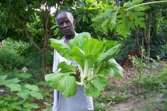 Discover the Keys to a Vibrant Life: Embrace Purpose, Power, and Play at the Healthy Aging 2026 Conference!