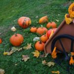 Man Denies Guilt in Heartbreaking Sunset District Shooting of Girlfriend