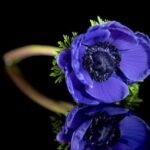 Jackie Fielder Puts Mental Health First: A Bold Step Back from Politics