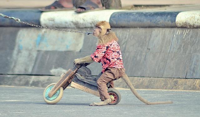 Educators Navigate the Fallout of Chávez Abuse Allegations as Tributes Fade Away