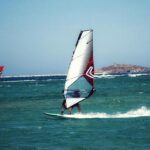 Thrilling Encounter: Windsurfer’s Heart-Stopping Collision with a Gray Whale in San Francisco Bay!