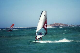 Thrilling Encounter: Windsurfer’s Heart-Stopping Collision with a Gray Whale in San Francisco Bay!