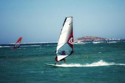 Thrilling Encounter: Windsurfer’s Heart-Stopping Collision with a Gray Whale in San Francisco Bay!