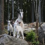 Luxury on Someone Else’s Tab: The Nanny’s K Indulgence in Travel and Spa Treatments!