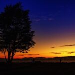 Emeryville Police Launch April Campaign to Enforce Hands-Free Driving Laws!