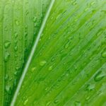 Rising Pressure: The Push to Remove Trump from Office Gains Traction in the House