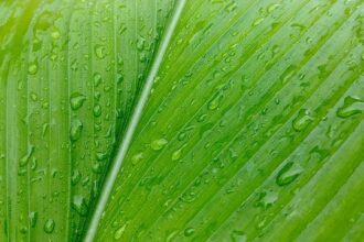 Rising Pressure: The Push to Remove Trump from Office Gains Traction in the House