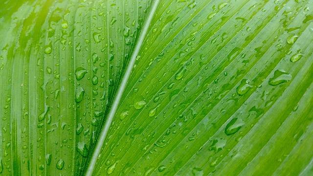 Rising Pressure: The Push to Remove Trump from Office Gains Traction in the House