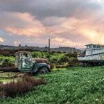 Petaluma’s Vibrant Celebration of Its Agricultural Heritage: The Annual Butter & Egg Days Festival!