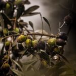 Bay Area Prepares for a Soaking Weekend After a Dry Spell!