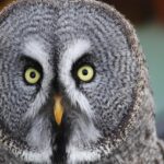 Thursday Morning Mayhem: BART Riders Face Major Delays!