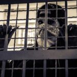 Man arrested near Rohnert Park schools