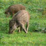 Novato Officials Warn Residents: Beware of Phishing Scam Targeting Permit Applicants!