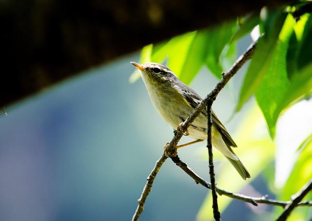 Pelosi Condemns Shocking Violence at White House Press Corps Dinner
