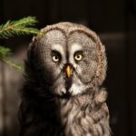 BART seeks applicants for Police Civilian Review Board